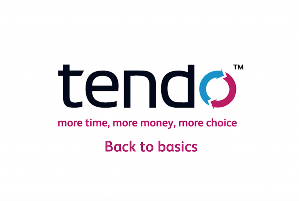 Tendo business consultancy