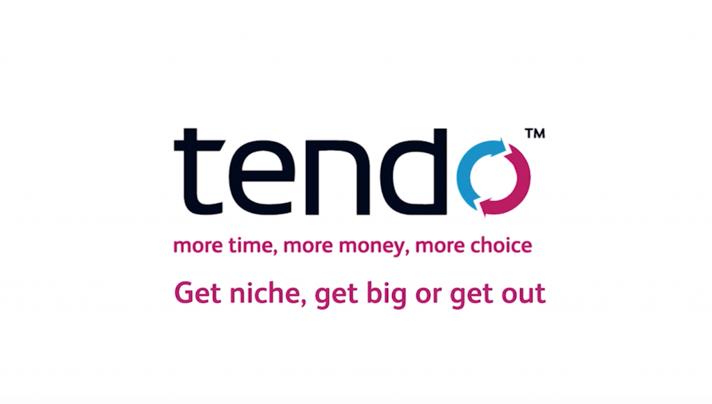 Tendo business consultancy