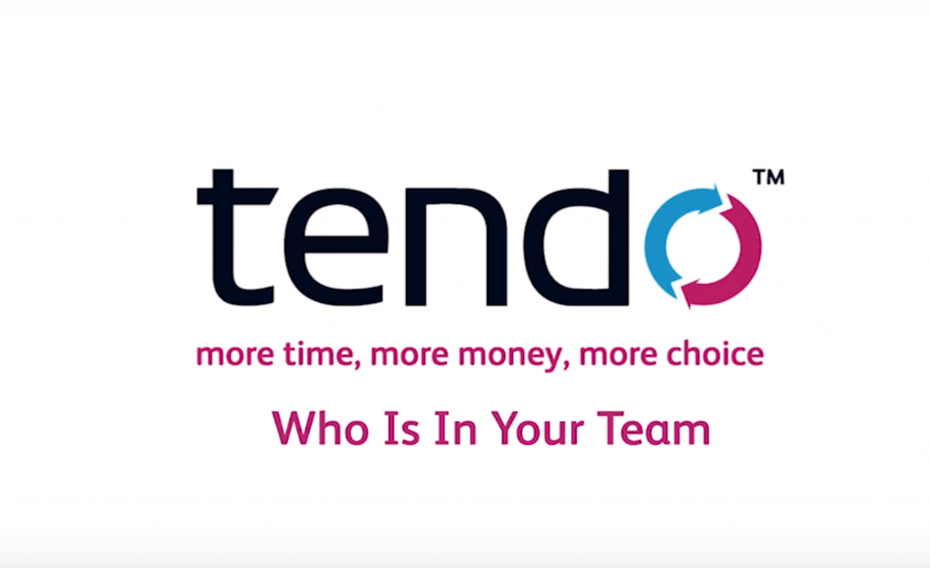 Tendo business consultancy